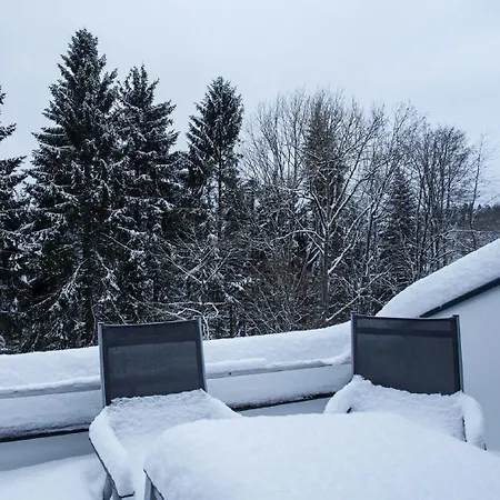 Apartamento Frohwein Winterberg